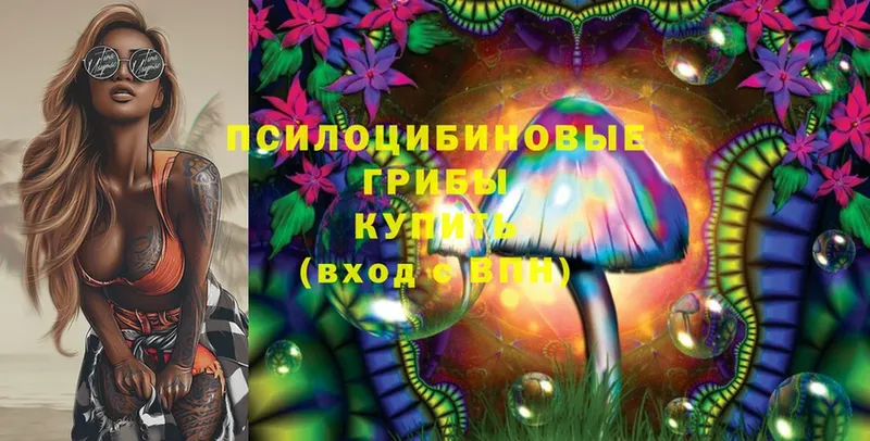 Псилоцибиновые грибы Magic Shrooms  Лермонтов 